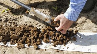 La matière organique du sol est une véritable clé de voûte de la sécurité alimentaire, de la biodiversité ou encore de l’atténuation du changement climatique. © A. Cassigneul/GFA La matière organique du sol est une véritable clé de voûte de la sécurité alimentaire, de la biodiversité ou encore de l’atténuation du changement climatique. © A. Cassigneul/GFA